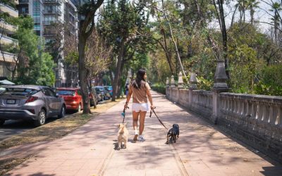 Las mejores rutas de senderismo de Alicante para ir con tu perro