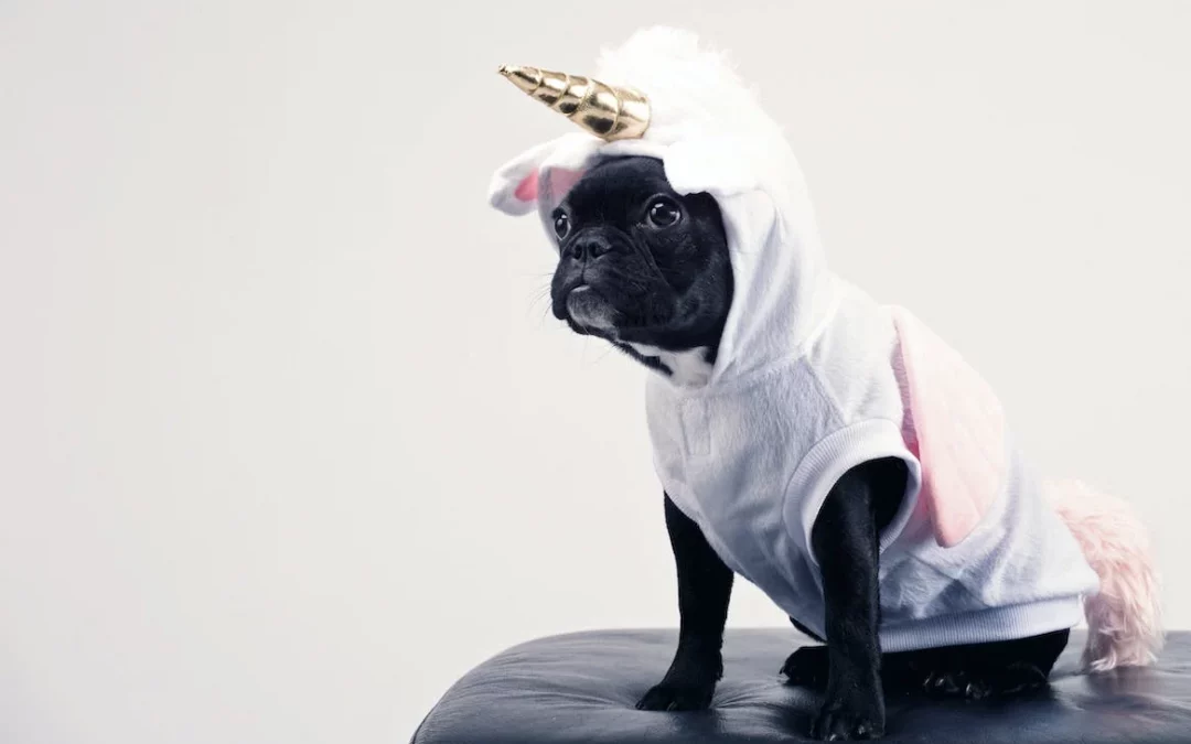 10 Ideas de Disfraces para Perros que Encantarán a Cualquier Amante de las Mascotas